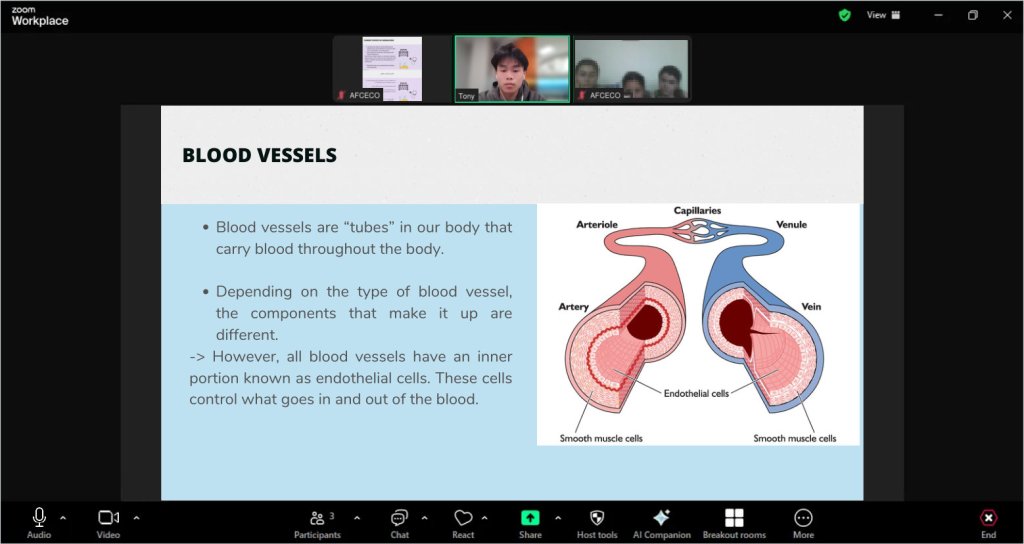 Recreated session view of a Blood vessels lesson for AFCECO