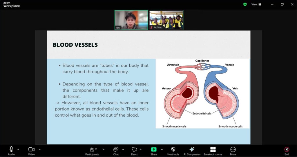 Recreated session view of a Blood vessels lesson for Hope and Care Outreach