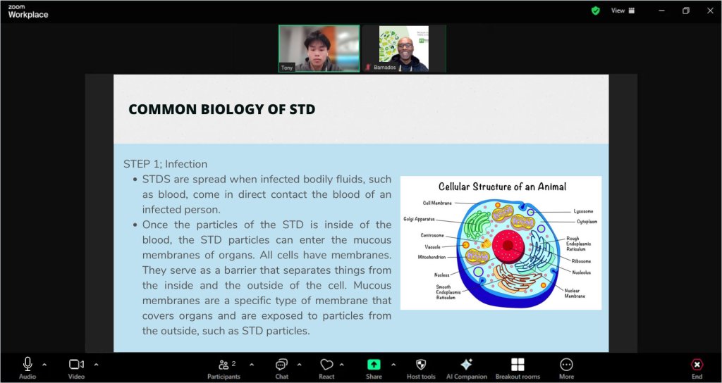 Recreated session view of a STD biology lesson for Barnardos Australia
